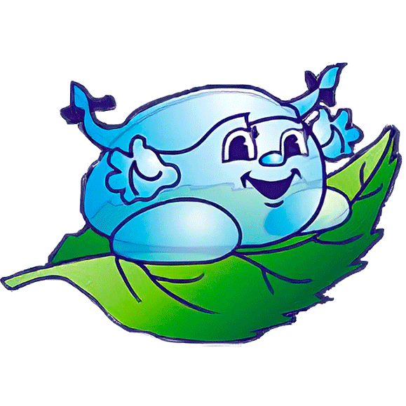 Приют Росинка